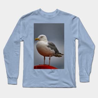 The Gull who thought he was a Robin! Long Sleeve T-Shirt